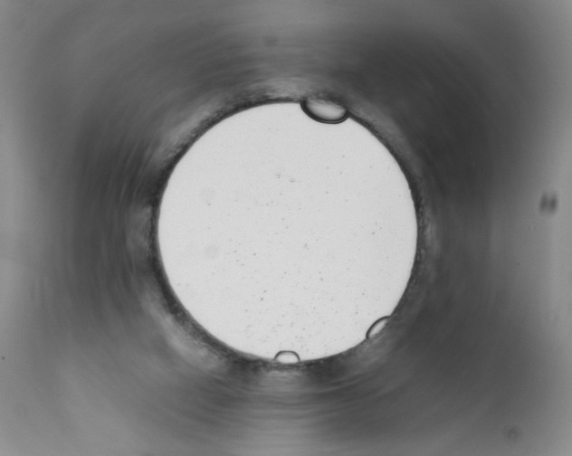 X0000111780066200909031143