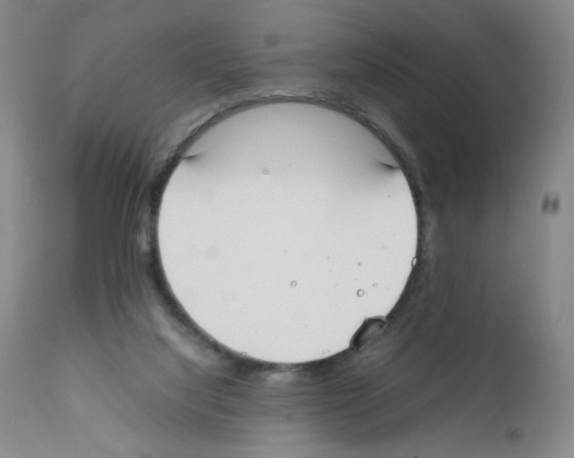 X0000111780068200909031143