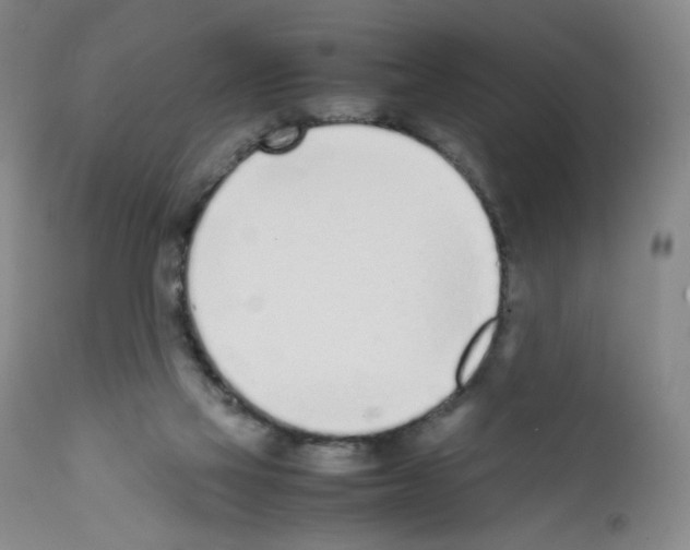 X0000111780069200909031143