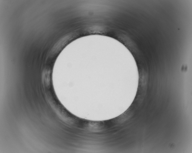 X0000111780070200909031143