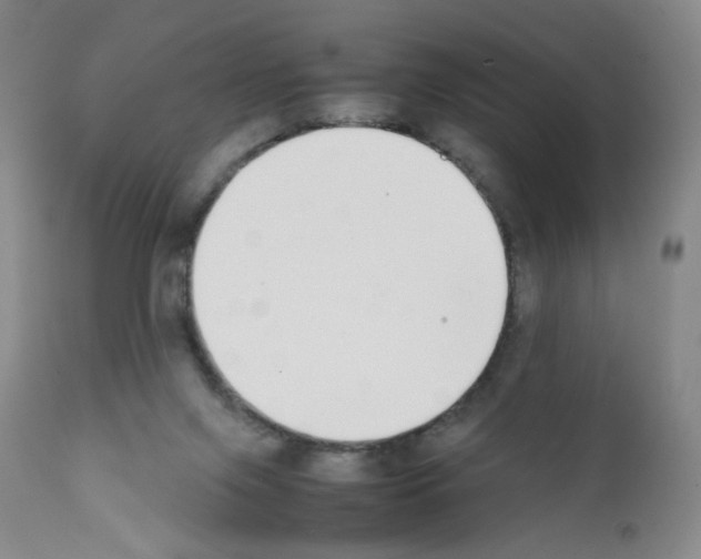 X0000111780071200909031143
