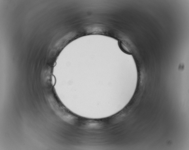 X0000111780073200909031143