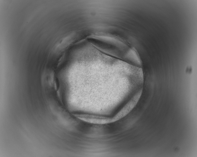 X0000111780076200909031143