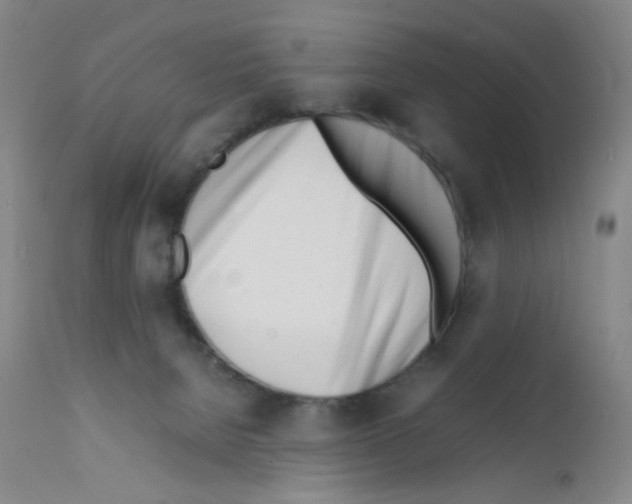 X0000111780080200909031143