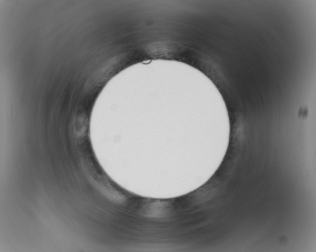 X0000111780081200909031143