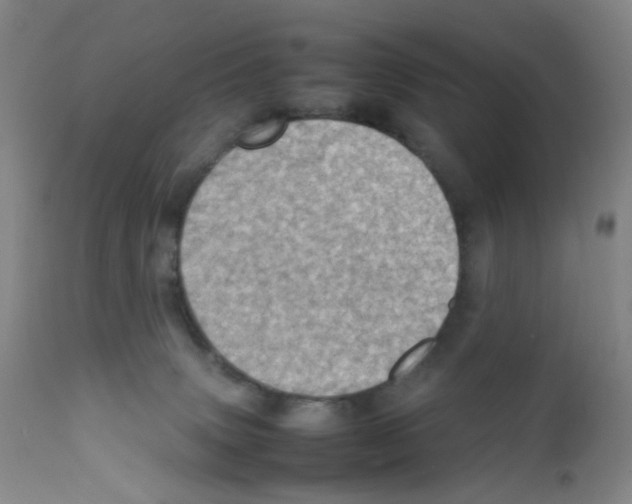 X0000111780083200909031143