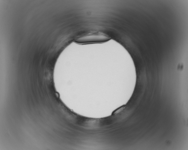 X0000111780084200909031143