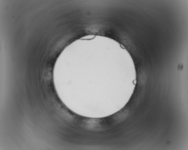 X0000111780085200909031143