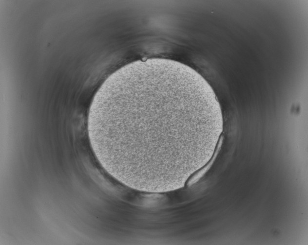 X0000111780087200909031143
