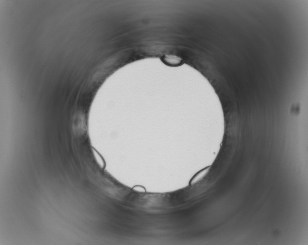 X0000111780089200909031143