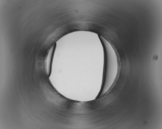 X0000111780092200909031143