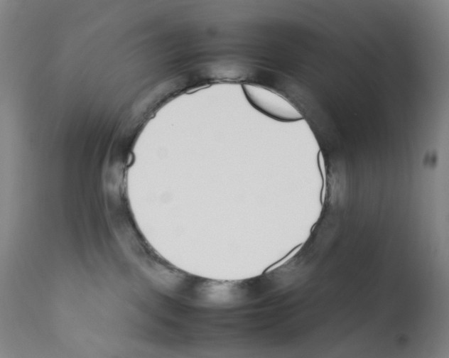 X0000111780093200909031143