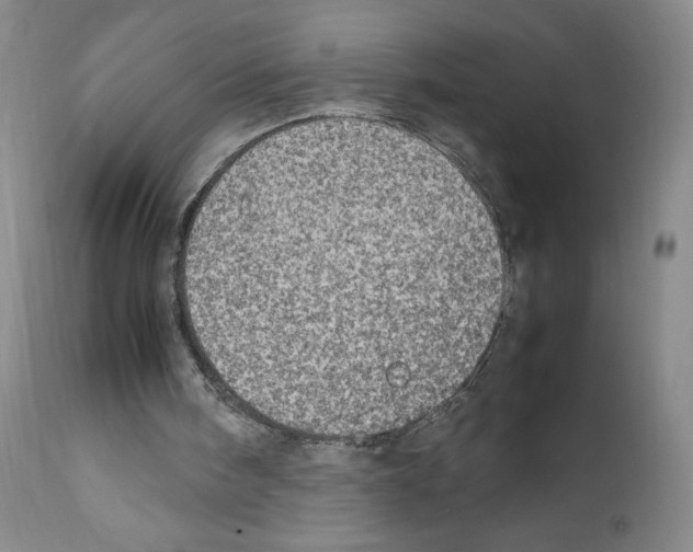 X0000111780098200909031142