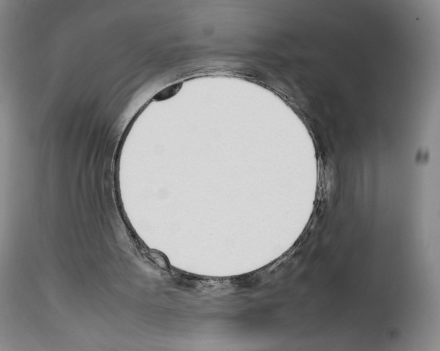 X0000111780099200909031142