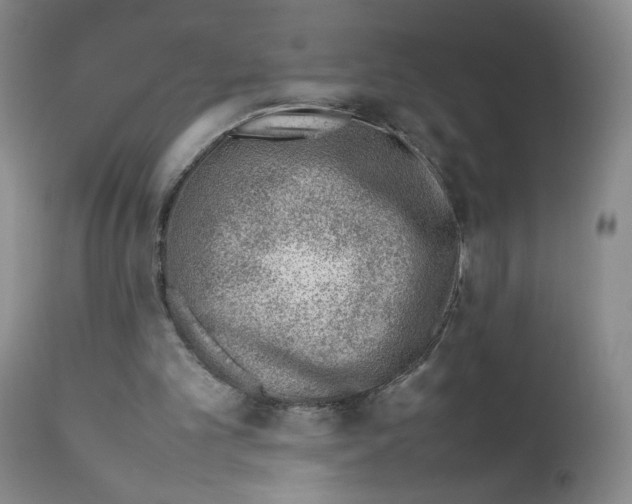 X0000111780101200909031142