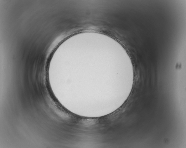X0000111780102200909031142