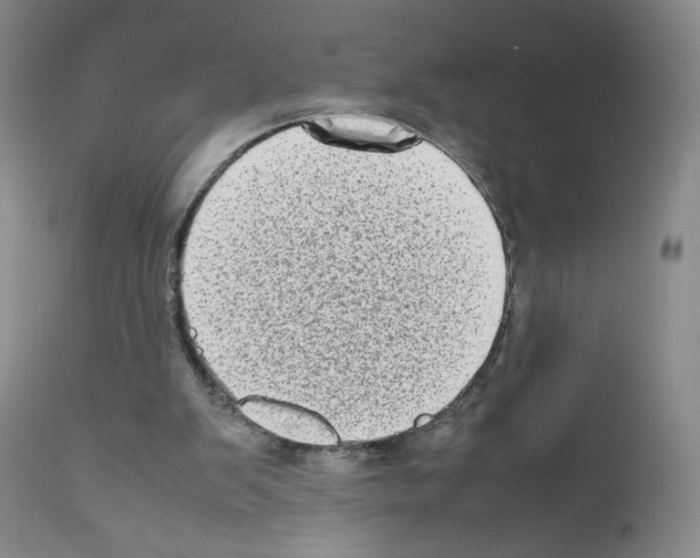 X0000111780103200909031142