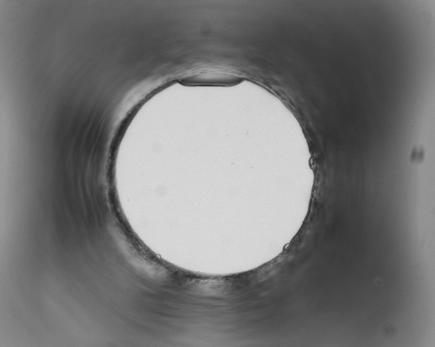 X0000111780104200909031142