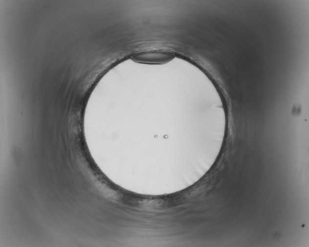 X0000111780105200909031142