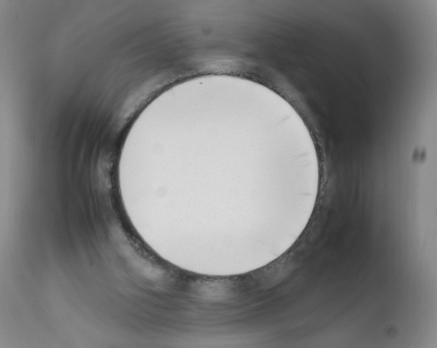 X0000111780106200909031142