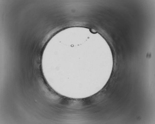 X0000111780107200909031142