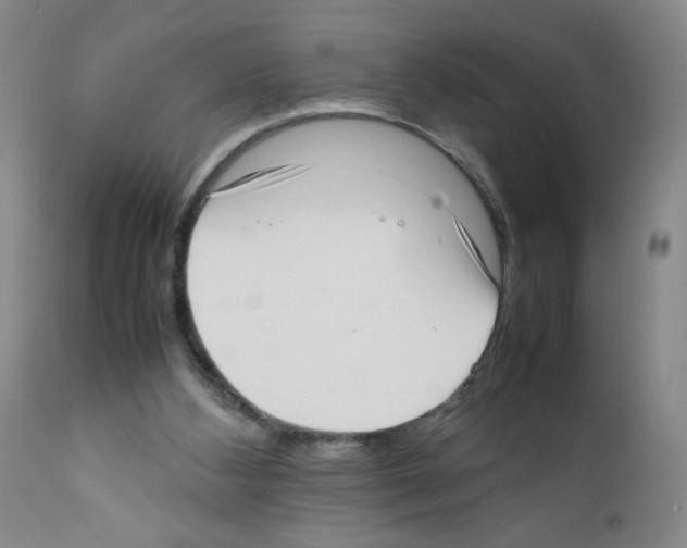 X0000111780108200909031142