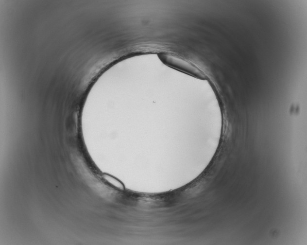 X0000111780109200909031142