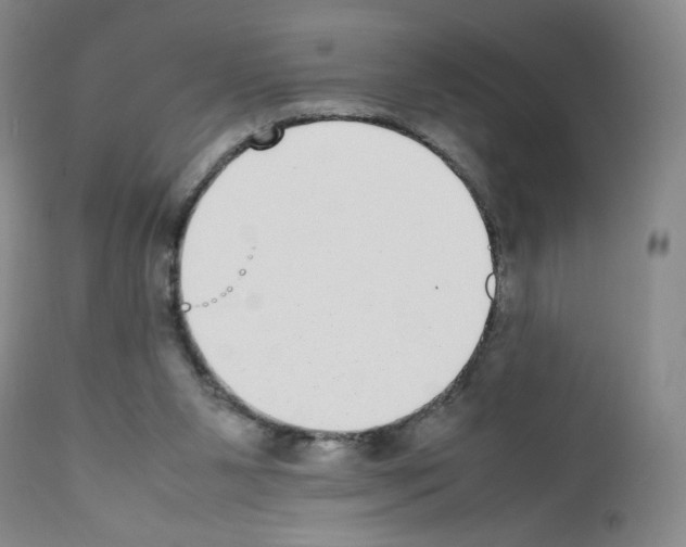 X0000111780111200909031142
