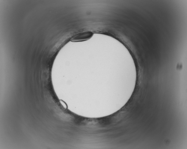 X0000111780113200909031142