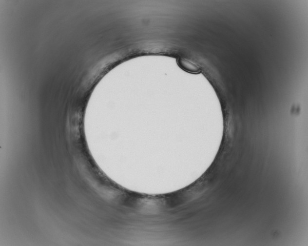 X0000111780115200909031142