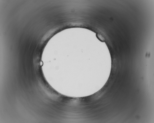X0000111780116200909031142