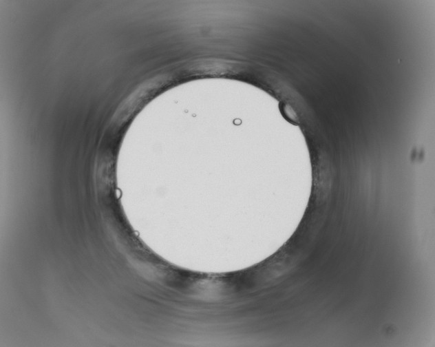 X0000111780119200909031142