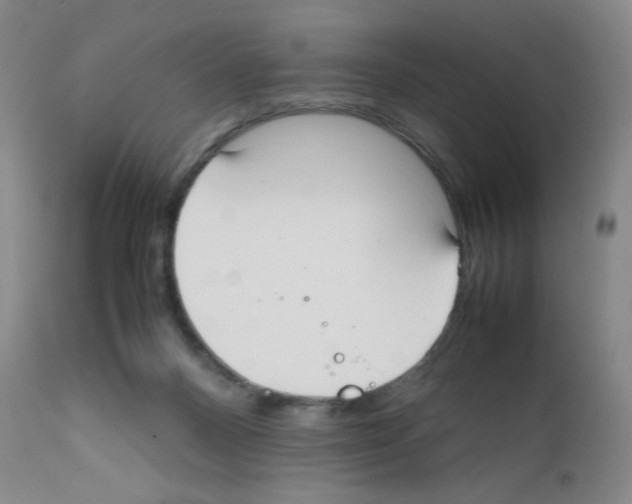 X0000111780120200909031142