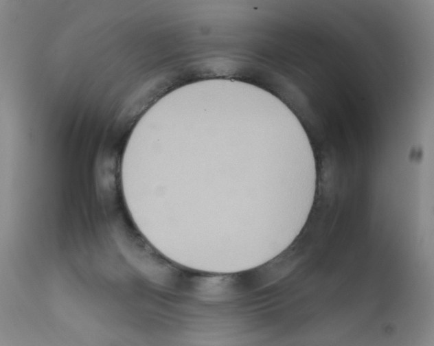 X0000111780122200909031142