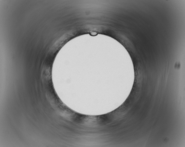 X0000111780123200909031142