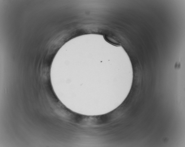 X0000111780125200909031142