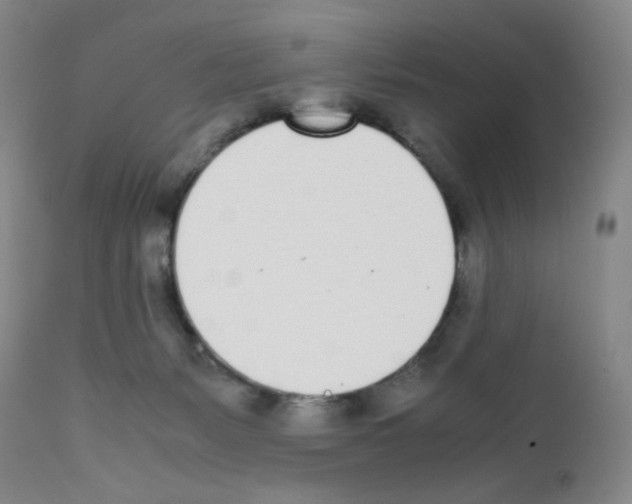 X0000111780127200909031142