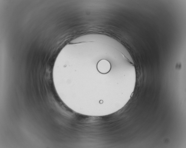 X0000111780128200909031142