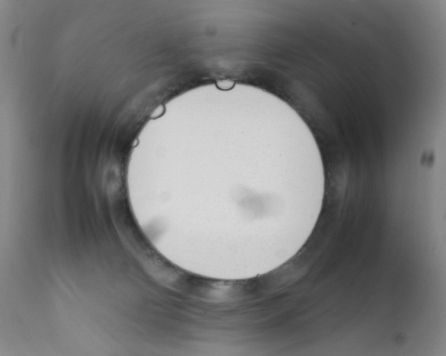 X0000111780130200909031142
