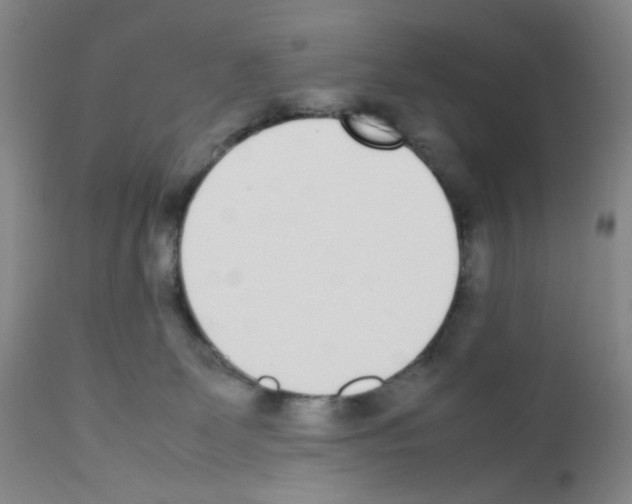X0000111780131200909031142