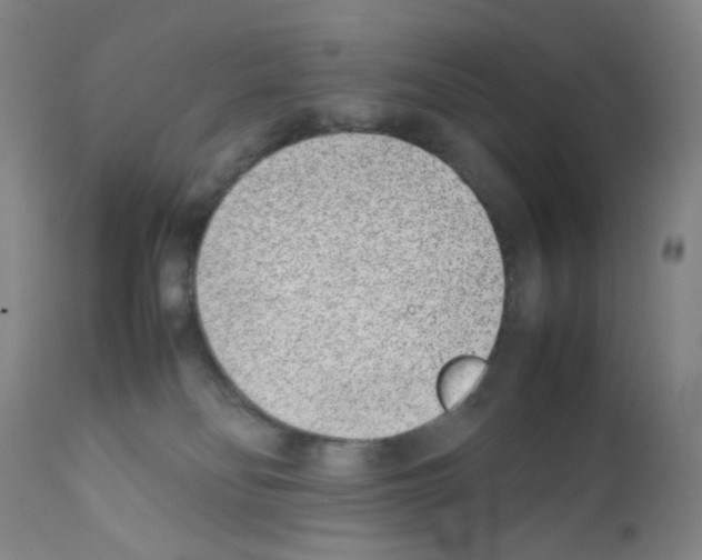 X0000111780134200909031142