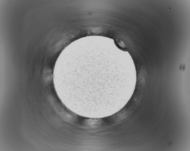 X0000111780135200909031142