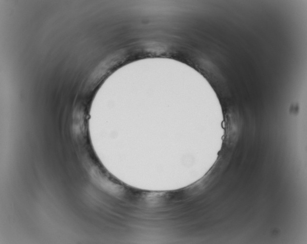 X0000111780136200909031142