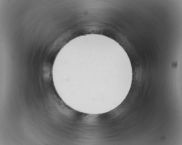 X0000111780138200909031142