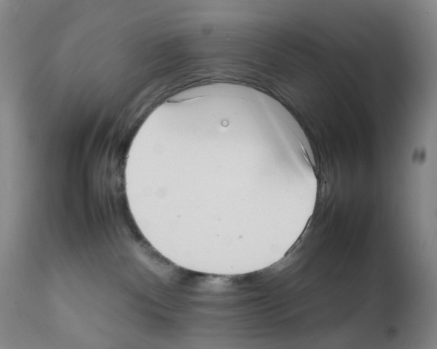 X0000111780140200909031142