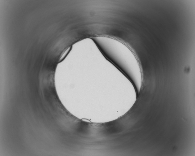 X0000111780141200909031142