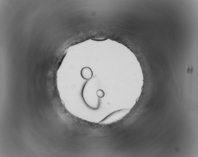 X0000111780144200909031142