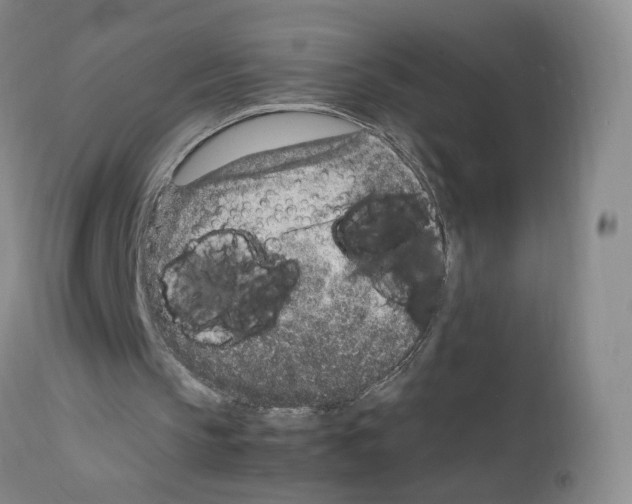 X0000111780145200909031141