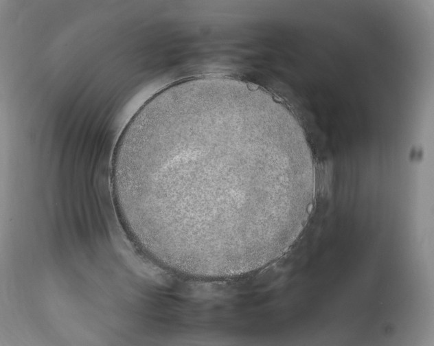 X0000111780147200909031141