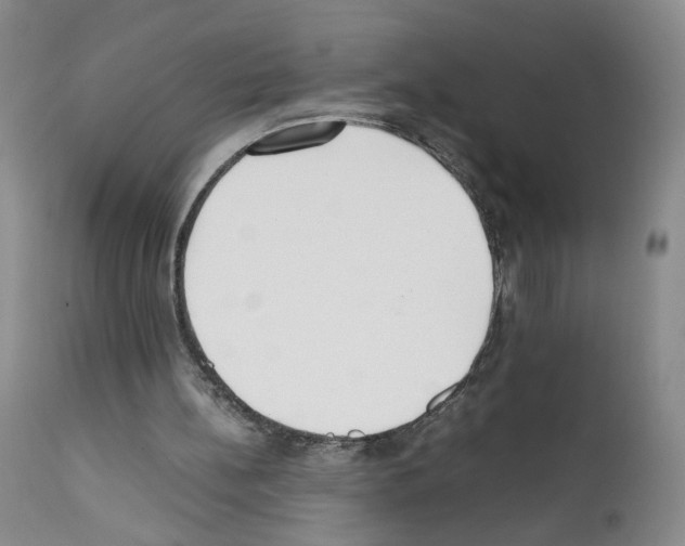 X0000111780148200909031141